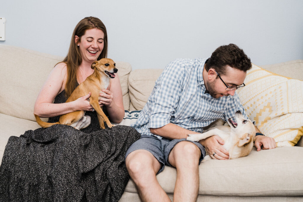 A couple sitting on a couch together while one holds a small dog in their lap and the other is leaning over to pet a small dog next to them. 