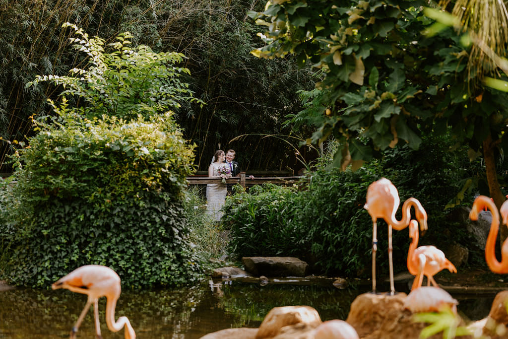 A wedding couple standing near a pond with flamingos, surrounded by lush greenery showing non-traditional wedding venues