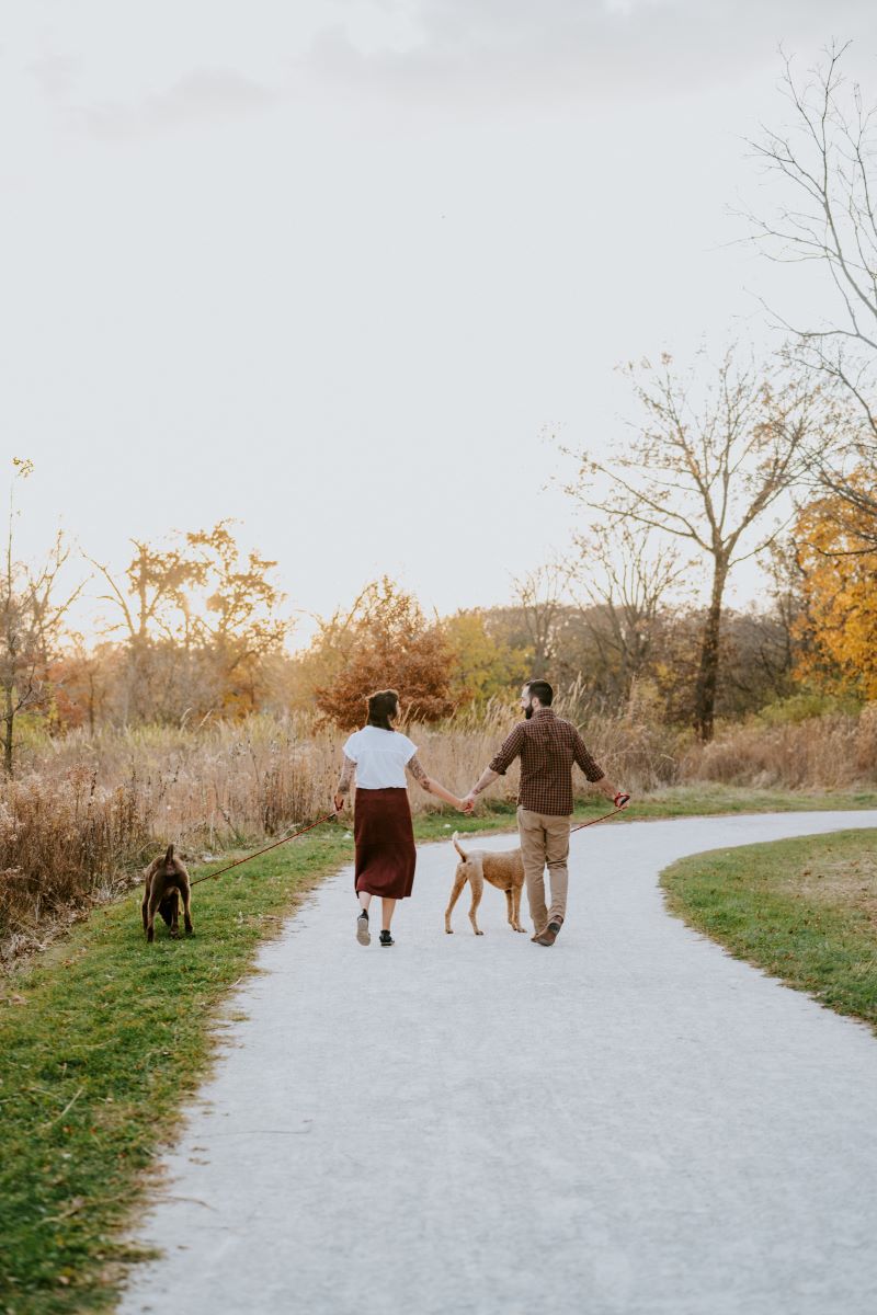 A couple holding hands and their dog's leashes and walking down a paved path and looking at each other 