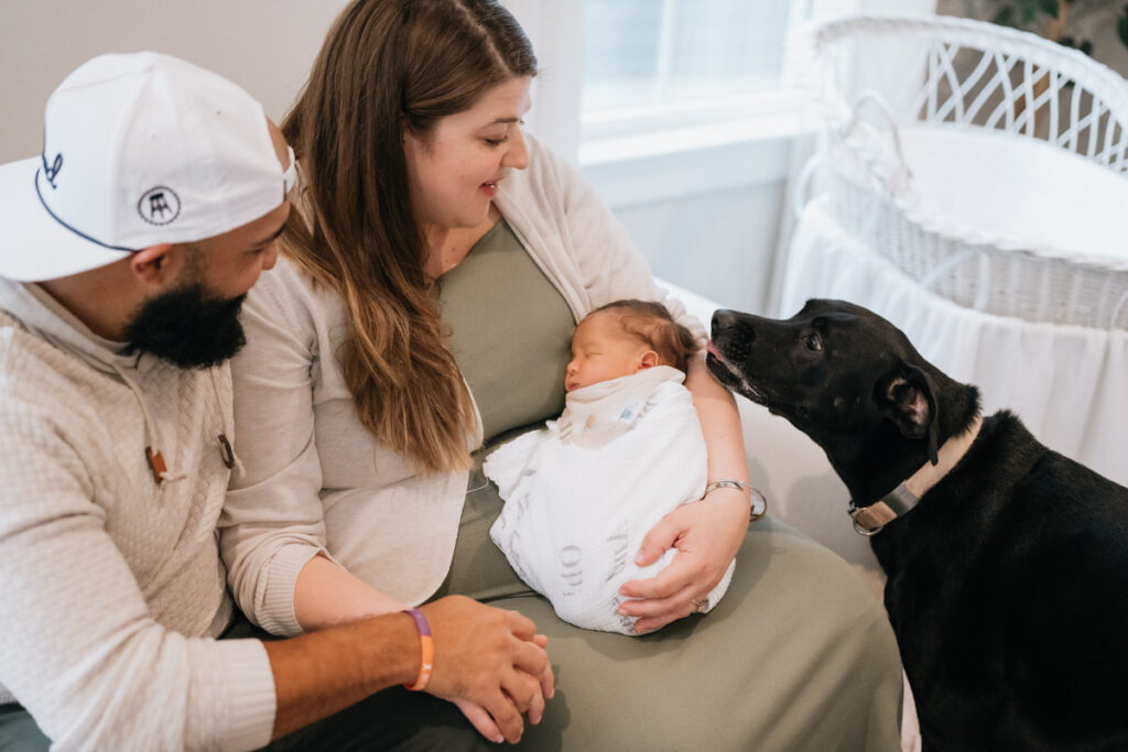 A person holding a newborn with their partner next to them and their dog sniffing the baby 