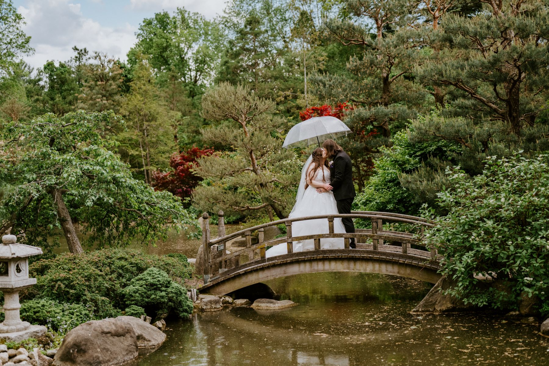 a couple kissing on a wooden bridge in the anderson japanese gardens during their wedding the woman is wearing a white wedding dress and veil and the man is wearing a black suit and they are holding a clear umbrella